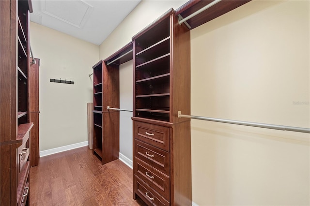 spacious closet featuring dark hardwood / wood-style flooring