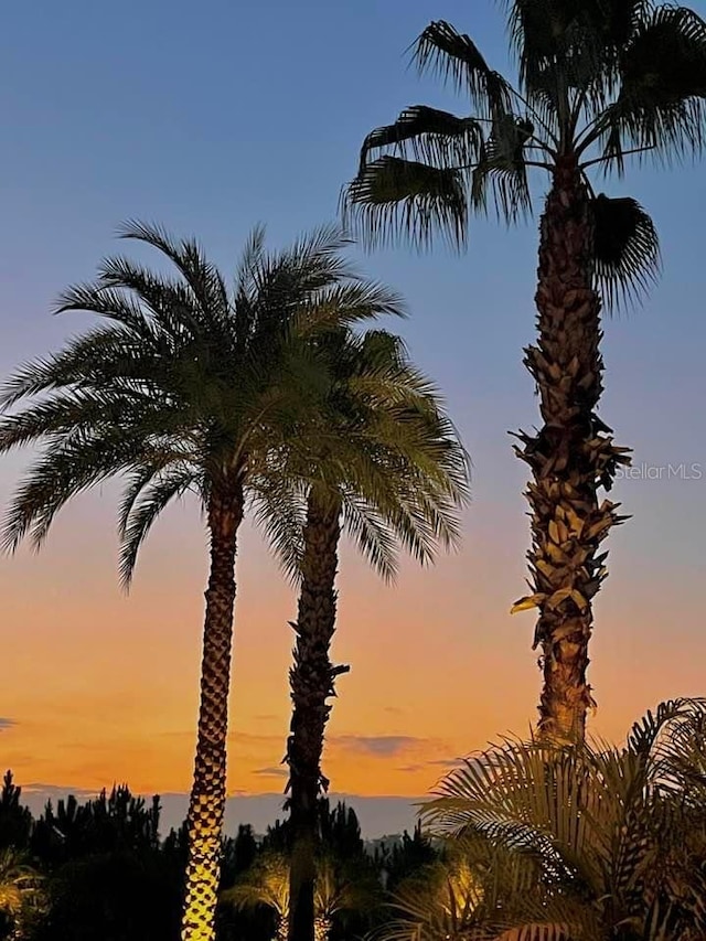 view of nature at dusk