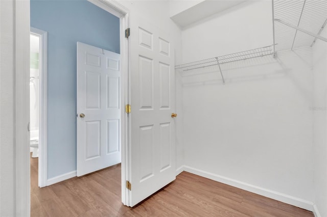 spacious closet with light wood-type flooring