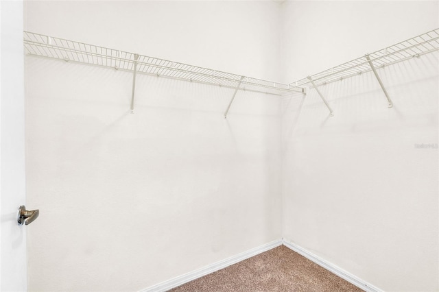 spacious closet with carpet