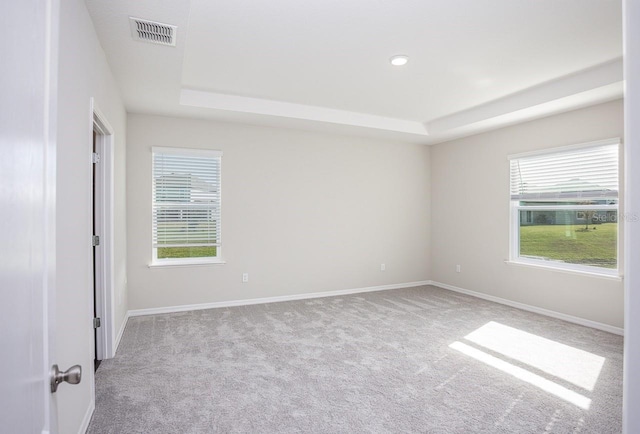 spare room with a healthy amount of sunlight, a raised ceiling, and light carpet