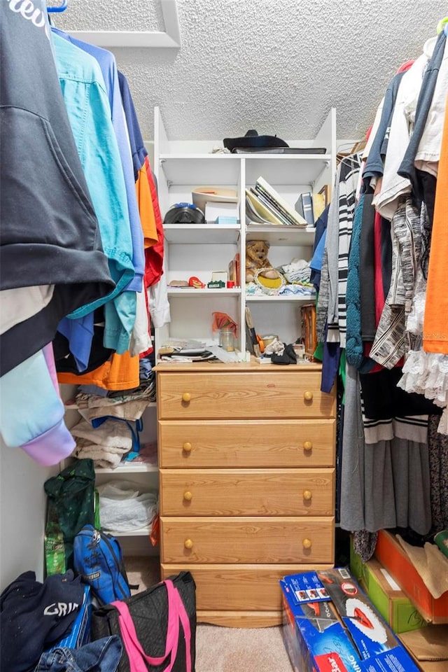 walk in closet featuring carpet floors