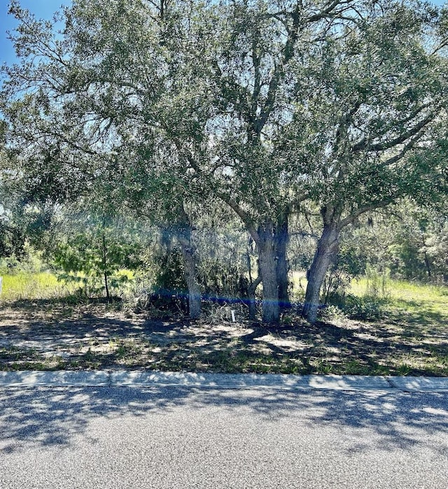 0 Oggie Ln, Hudson FL, 34667 land for sale