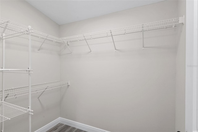 walk in closet featuring hardwood / wood-style floors