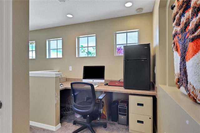 office featuring plenty of natural light and carpet floors