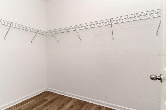 spacious closet with dark wood-type flooring