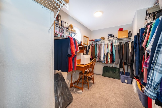 walk in closet with carpet flooring