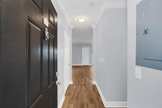 hall with hardwood / wood-style floors, crown molding, and electric panel