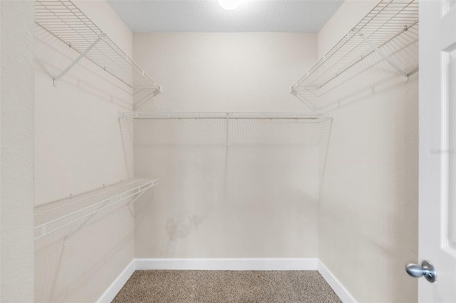 walk in closet with carpet flooring