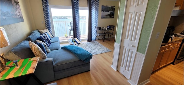 living room featuring light hardwood / wood-style flooring