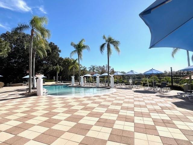 view of pool featuring a patio area