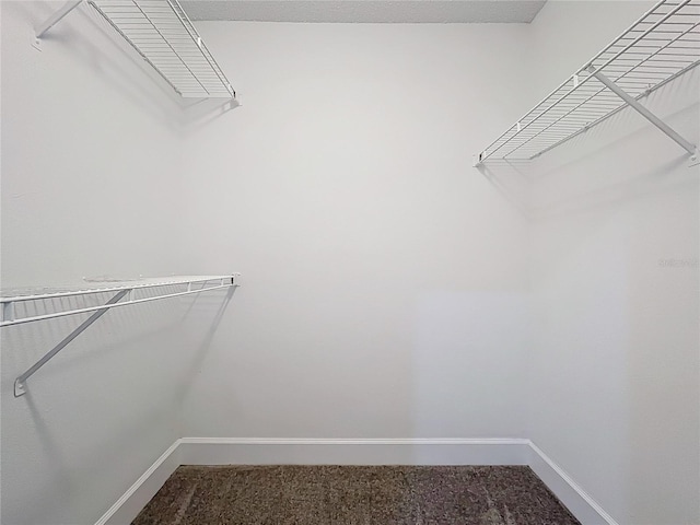 walk in closet featuring carpet