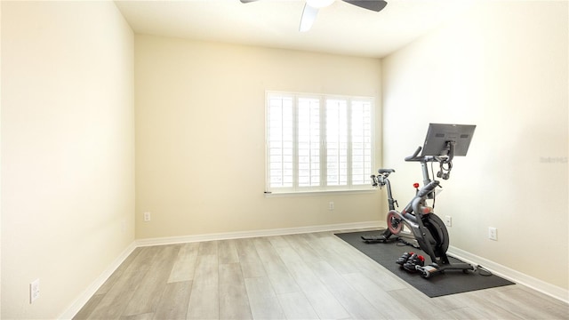 exercise area with ceiling fan and light hardwood / wood-style flooring