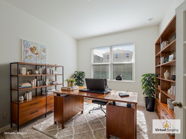 view of carpeted office space