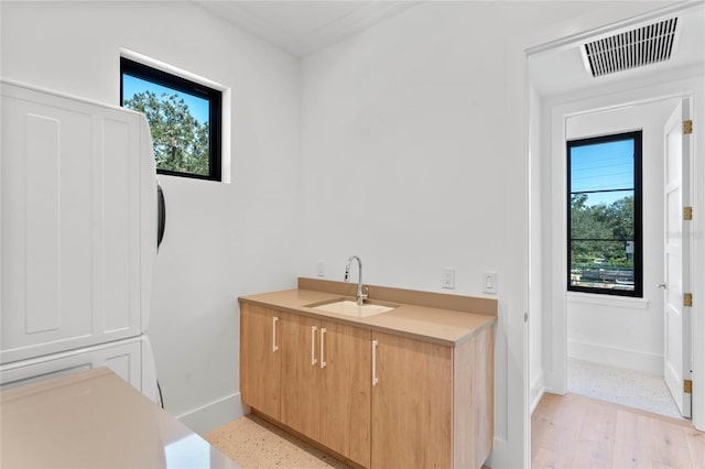 bathroom featuring wood finished floors, a sink, visible vents, and baseboards