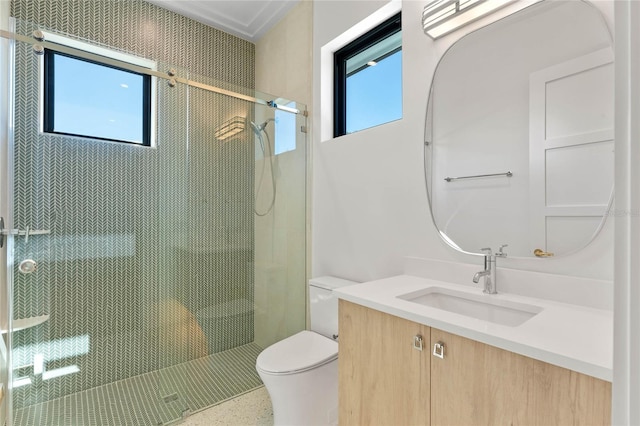 full bathroom featuring a stall shower, plenty of natural light, vanity, and toilet