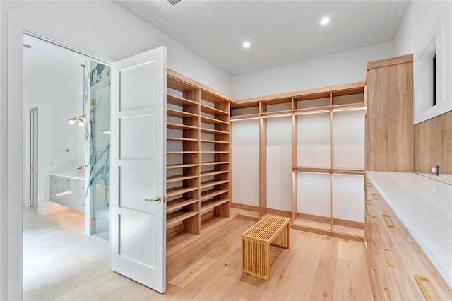 spacious closet featuring wood finished floors