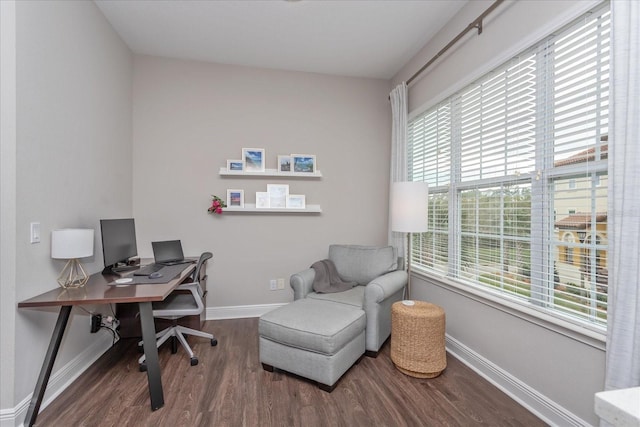 office area featuring hardwood / wood-style flooring