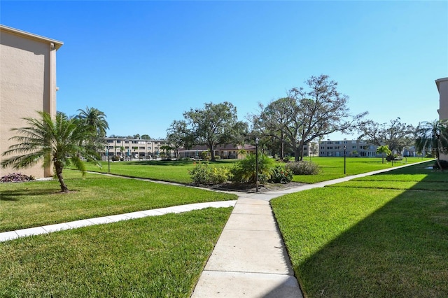 view of community with a yard