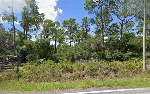 Rosalie Lake Rd, Lake Wales FL, 33898 land for sale