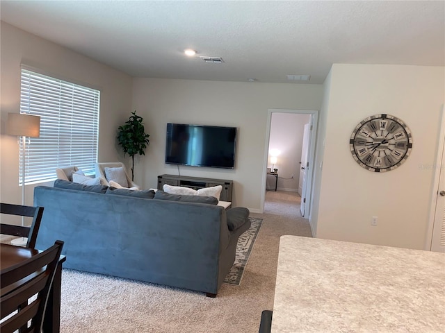 living room featuring light colored carpet