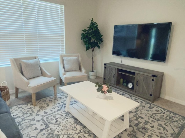 living room with light colored carpet