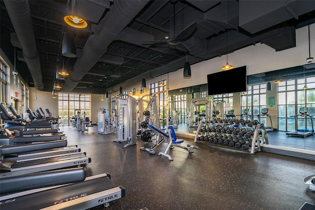 workout area with plenty of natural light