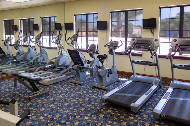 gym featuring carpet, a drop ceiling, and plenty of natural light