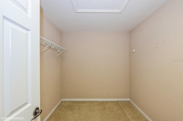 spacious closet with light colored carpet