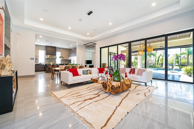 living room featuring a raised ceiling