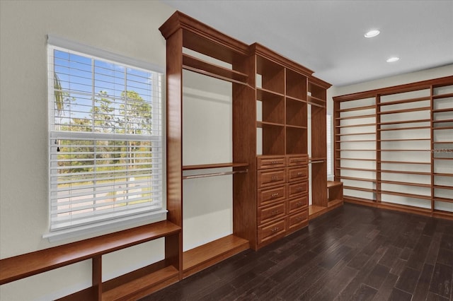 walk in closet featuring dark hardwood / wood-style floors