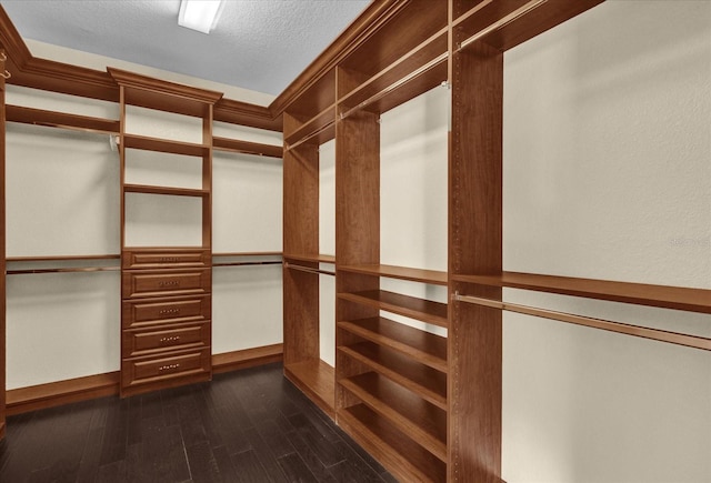 walk in closet featuring dark wood-type flooring