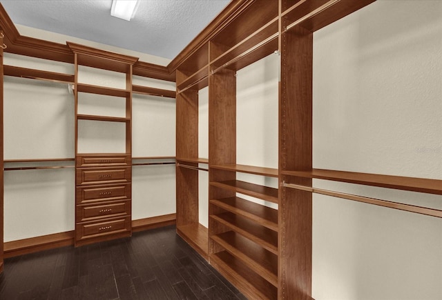 19206 Robertson St, Orlando, FL 32833 - walk in closet featuring dark wood-style floors