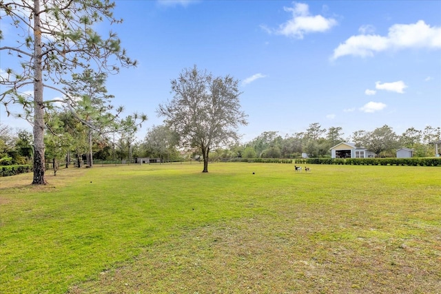 19206 Robertson St, Orlando, FL 32833 - view of green lawn