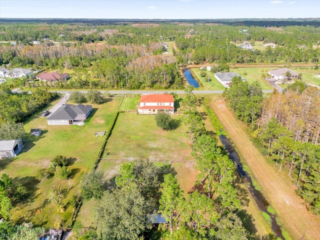 19206 Robertson St, Orlando, FL 32833 - drone / aerial view of a forest
