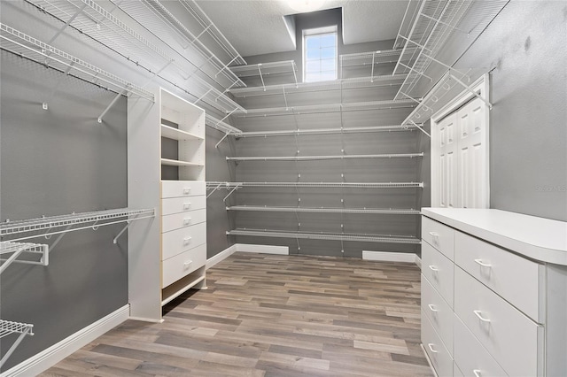 spacious closet featuring hardwood / wood-style flooring