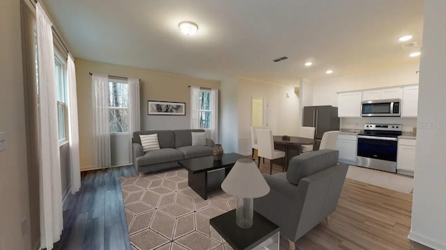 living room featuring wood-type flooring