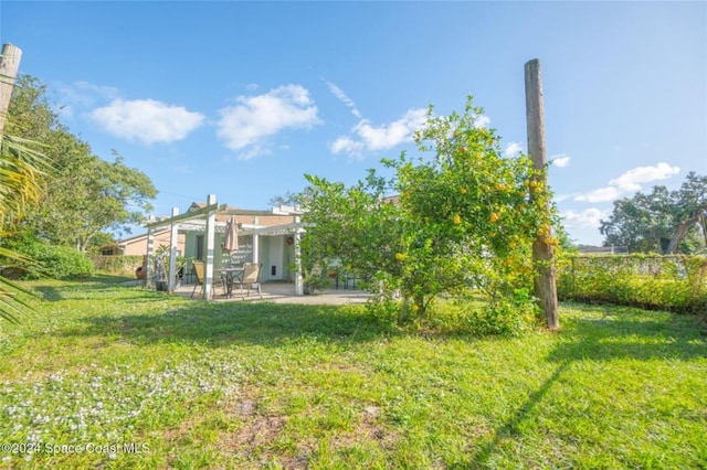 view of yard featuring a patio