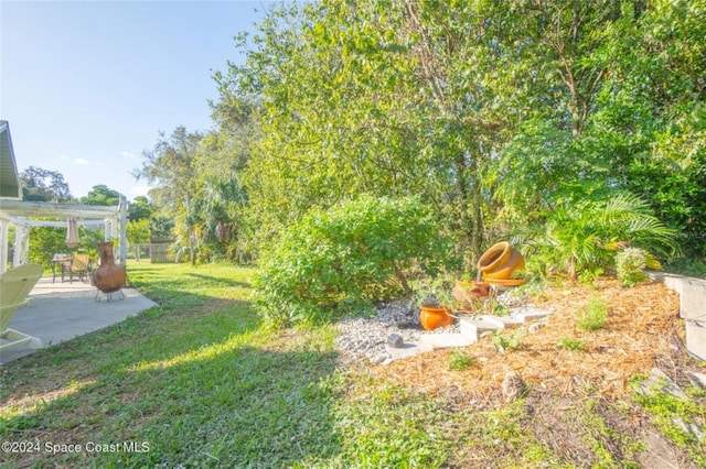 view of yard featuring a patio