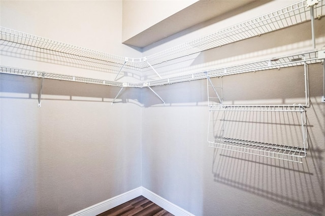 7700 Carriage Homes Dr Unit 4, Orlando, FL 32819 - walk in closet featuring dark wood-type flooring