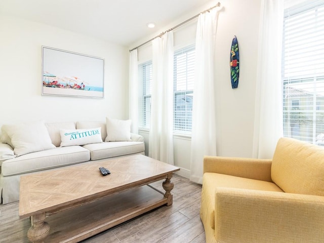 living room with a wealth of natural light and light wood-style floors