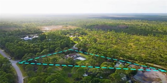 6885 Orchid Tree Dr, Grant, FL 32949 - aerial view of property and surrounding area with a heavily wooded area and property parcel outlined