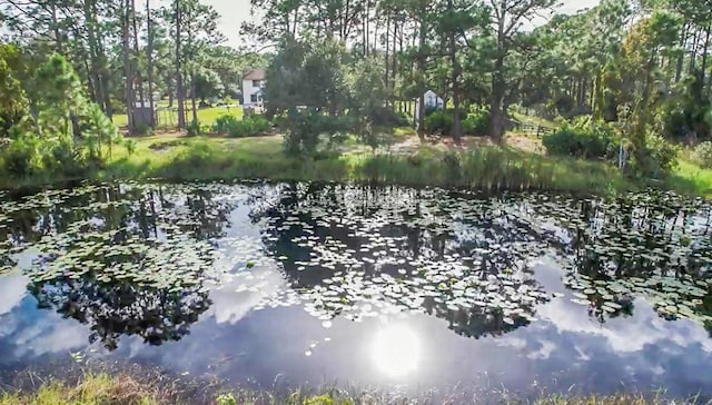 view of water feature