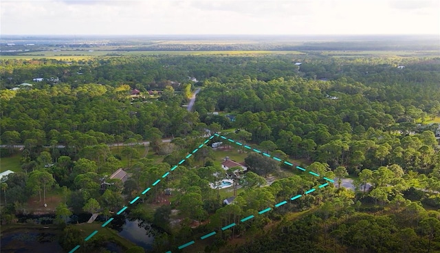 6885 Orchid Tree Dr, Grant, FL 32949 - aerial overview of property's location featuring property boundaries highlighted and a heavily wooded area