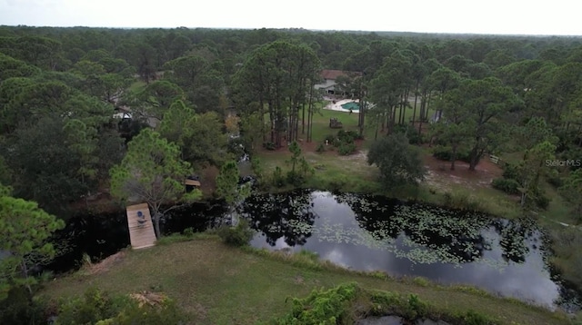 6885 Orchid Tree Dr, Grant, FL 32949 - view of property location featuring a heavily wooded area and a large body of water