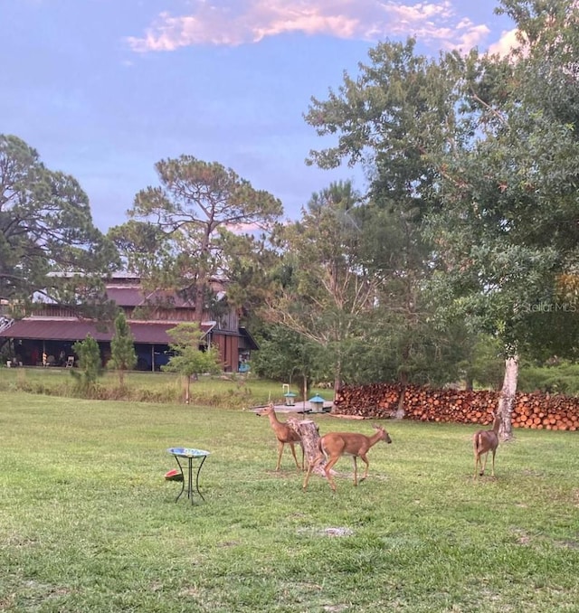 6885 Orchid Tree Dr, Grant, FL 32949 - yard at dusk featuring a yard