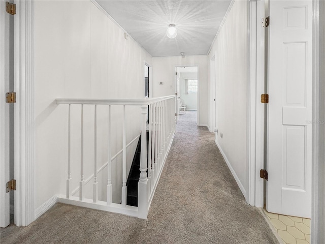 6885 Orchid Tree Dr, Grant, FL 32949 - hall with carpet, an upstairs landing, and baseboards