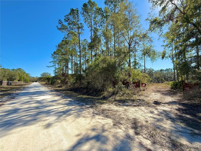 484 NE 412th Ave, Old Town FL, 32680 land for sale