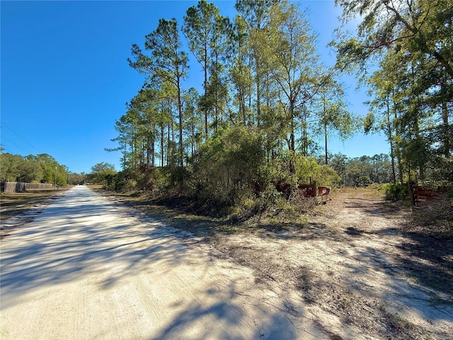 484 NE 412th Ave, Old Town, FL 32680 - photo 1