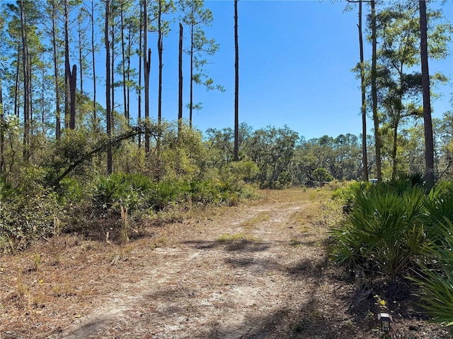 484 NE 412th Ave, Old Town, FL 32680 - photo 2